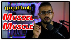 Mussel & Muscle در زبان انگلیسی