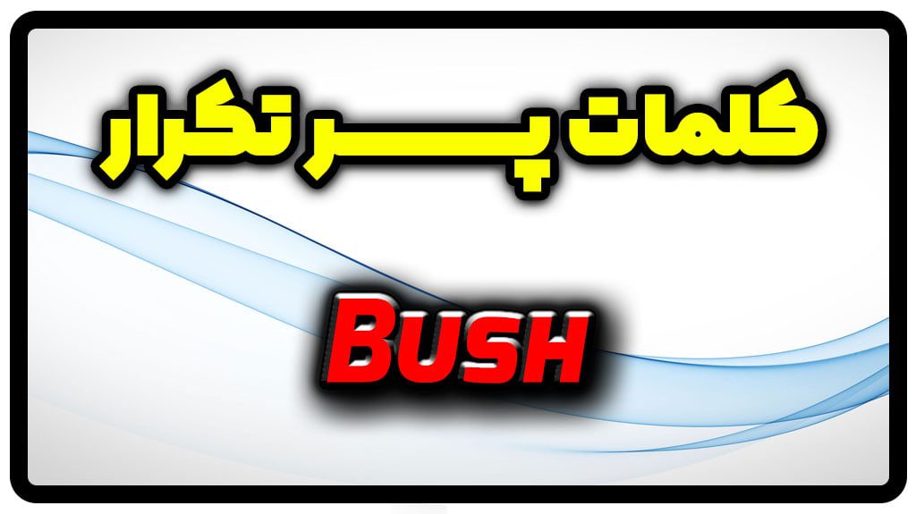 معنی bush | جمله با bush