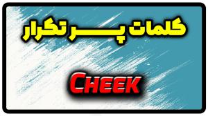 معنی cheek | جمله با cheek