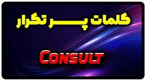 معنی consult | جمله با consult