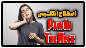 معنی اصطلاح pain in the neck