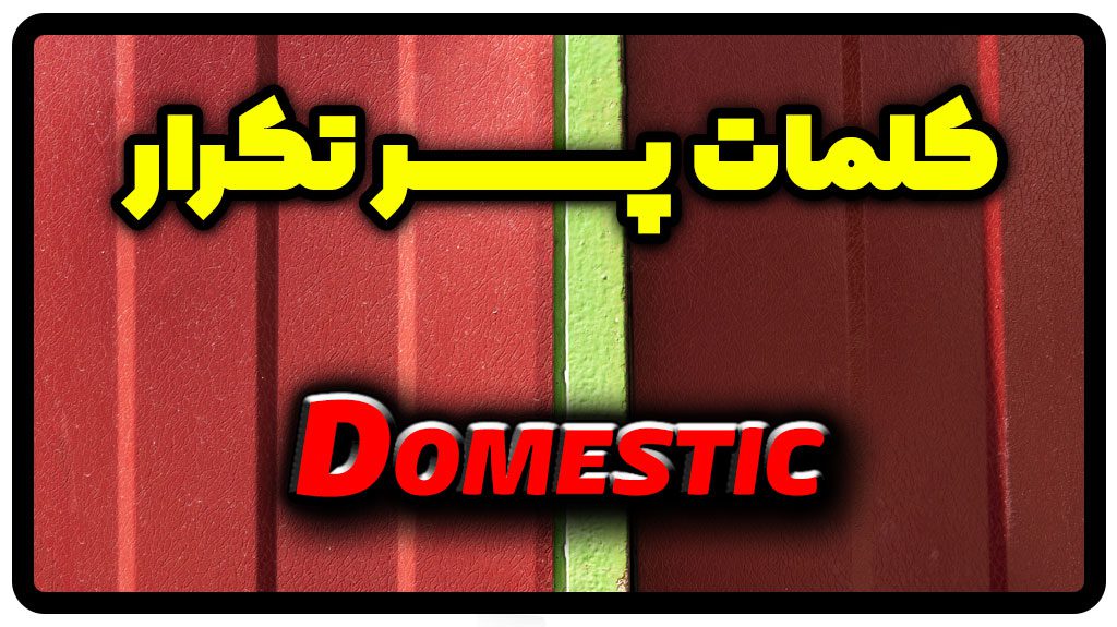معنی domestic | جمله با domestic