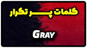 معنی Gray | جمله با Gray