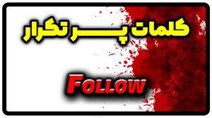 معنی follow | جمله با follow