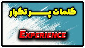 معنی experience | جمله با experience