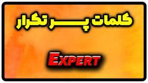 معنی expert | جمله با expert