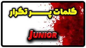 معنی junior | جمله با junior