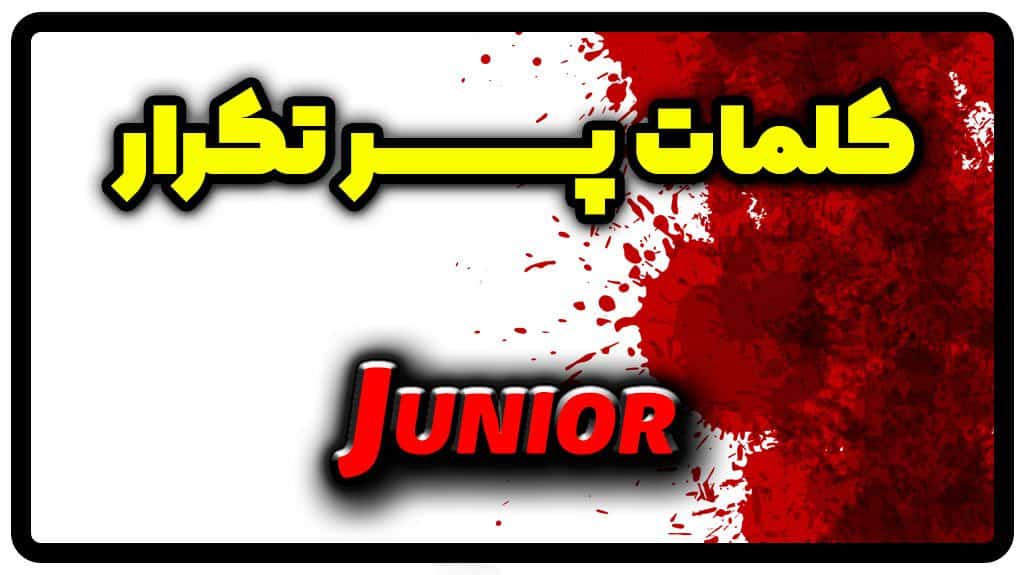 معنی junior | جمله با junior