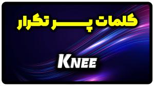 معنی knee | جمله با knee