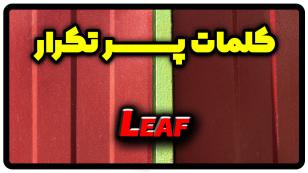 معنی leaf | جمله با leaf