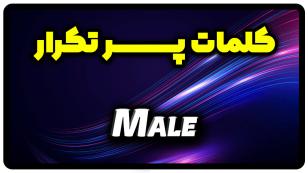 معنی male | جمله با male
