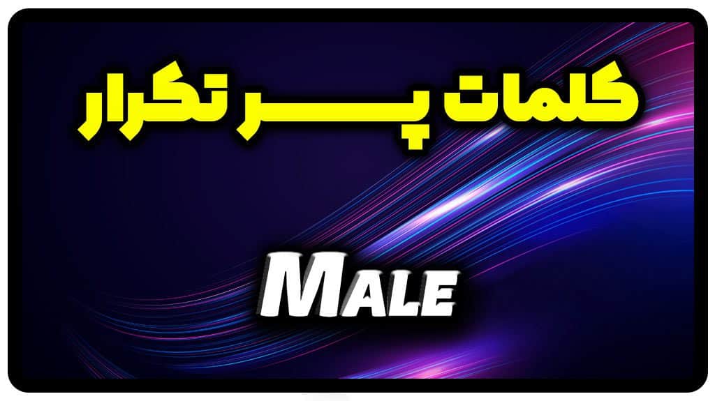 معنی male | جمله با male