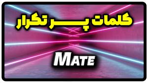 معنی mate | جمله با mate