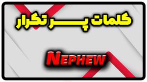 معنی nephew | جمله با nephew