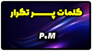 معنی pm | جمله با pm