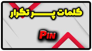 معنی pin | جمله با pin