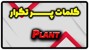 معنی plant | جمله با plant