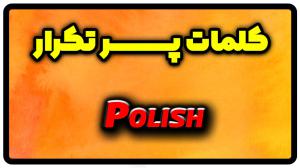 معنی polish | جمله با polish