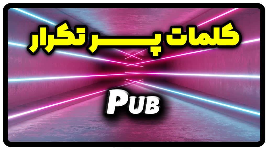 معنی pub | جمله با pub