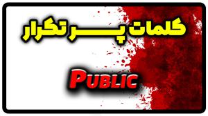 معنی public | جمله با public