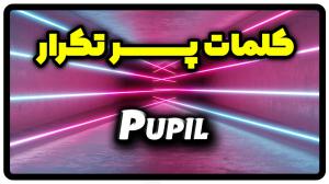 معنی pupil | جمله با pupil
