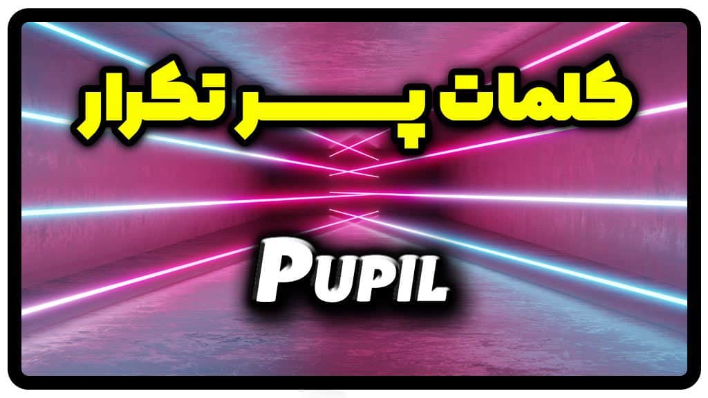 معنی pupil | جمله با pupil