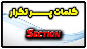 معنی section | جمله با section