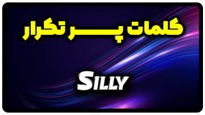 معنی Silly | جمله با Silly