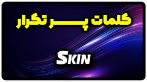معنی skin | جمله با skin