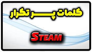معنی steam | جمله با steam