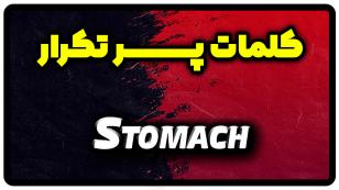 معنی stomach | جمله با stomach
