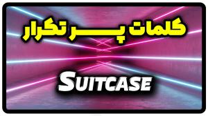 معنی suitcase | جمله با suitcase