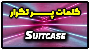 معنی suitcase | جمله با suitcase