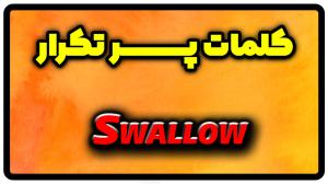 معنی swallow | جمله با swallow