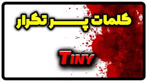 معنی tiny | جمله با tiny
