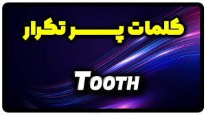 معنی tooth | جمله با tooth