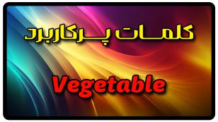 معنی vegetable | جمله با vegetable