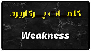 معنی weakness | جمله با weakness