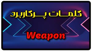 معنی weapon | جمله با weapon