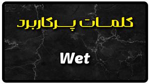 معنی wet | جمله با wet