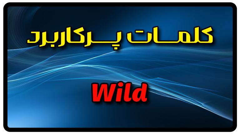 معنی Wild جمله با Wild راسا زبان