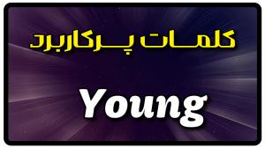 معنی young | جمله با young